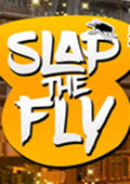 Slap The FlyӢİ桷